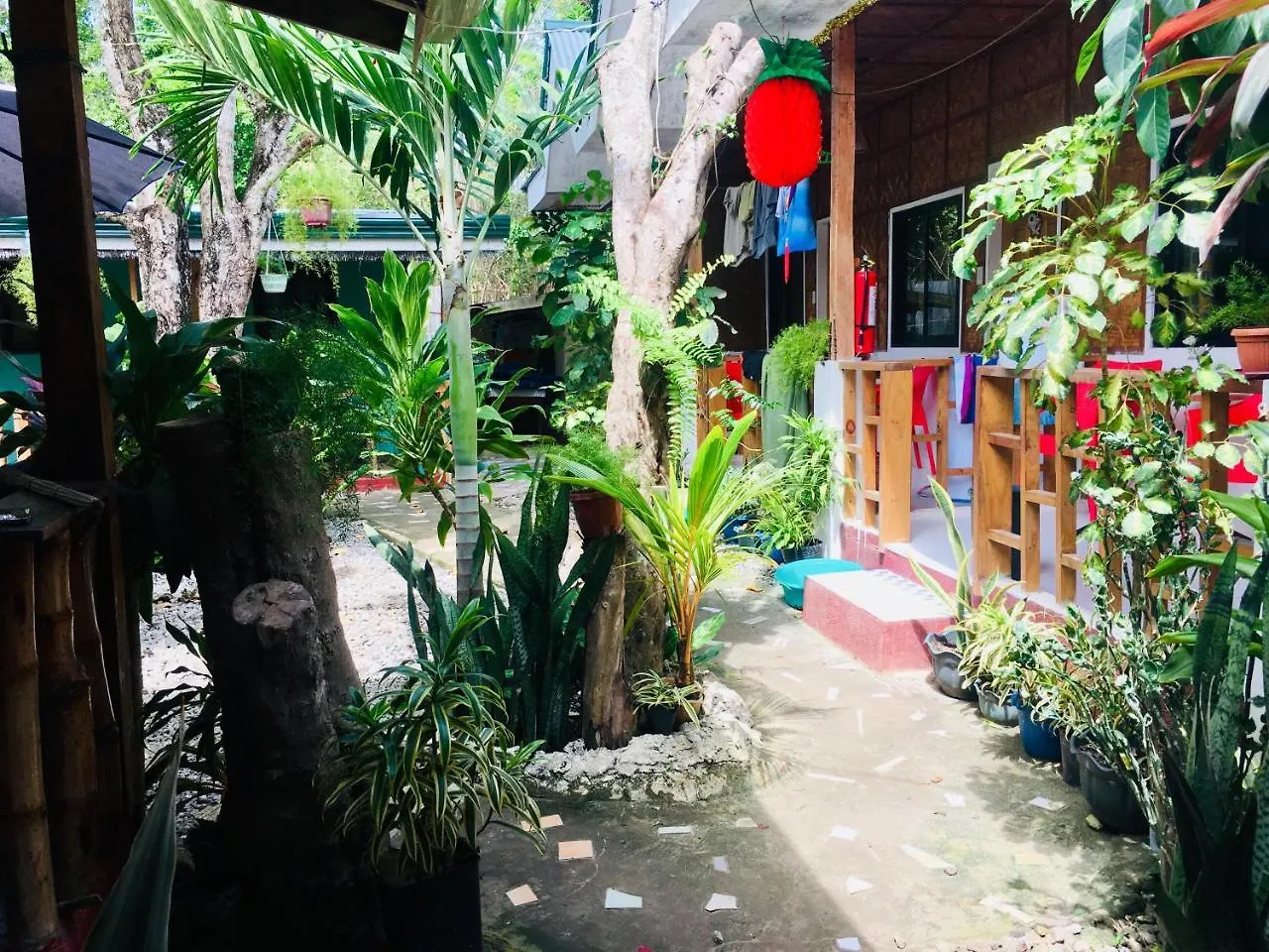 Inn Domos Native Guest House Panglao Philippines